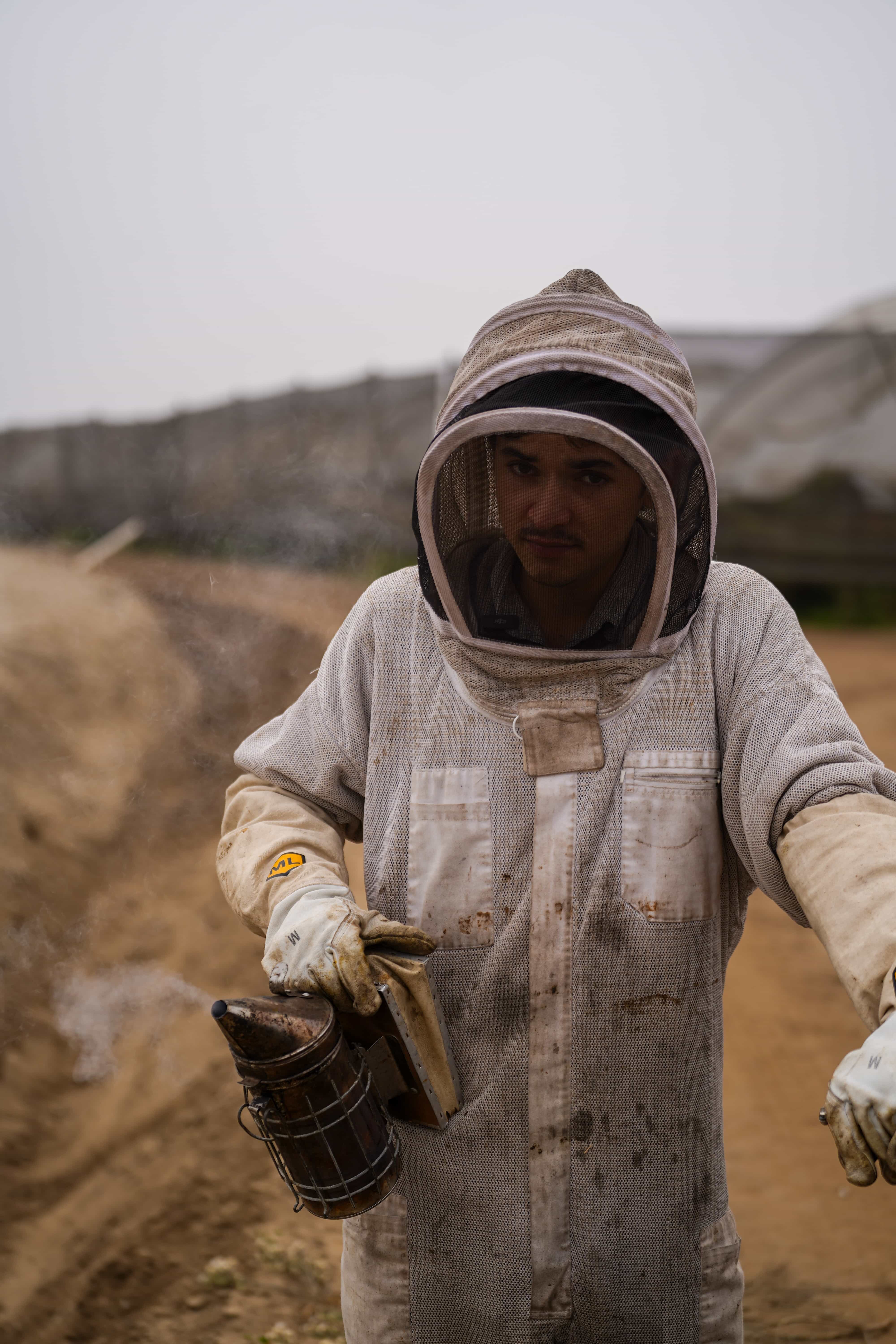Beekeeper working with bees